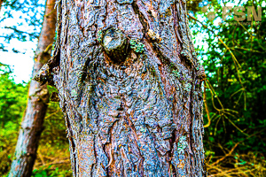 Vorschau von DSC00582.jpg