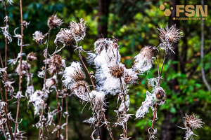 Vorschau von DSC00589.jpg