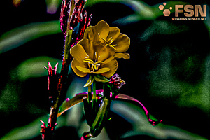 Vorschau von DSC00599.jpg