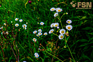 Vorschau von DSC00609.jpg