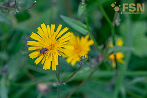 Vorschau von DSC00628.jpg