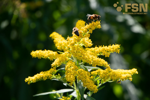 Vorschau von DSC00656.jpg