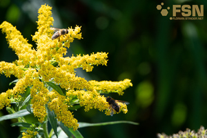 Vorschau von DSC00658.jpg