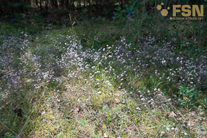 Vorschau von DSC00659.jpg