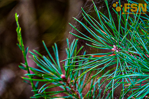 Vorschau von DSC00667.jpg