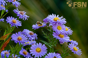 Vorschau von DSC00687.jpg