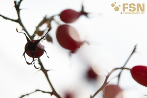 Vorschau von DSC00706.jpg