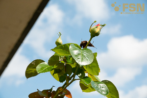 Vorschau von DSC00707.jpg