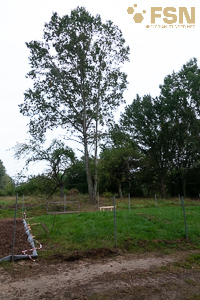 Vorschau von DSC00742.jpg