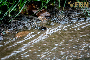 Vorschau von DSC00758.jpg