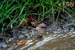 Vorschau von DSC00759.jpg