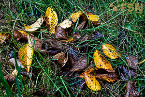 Vorschau von DSC00769.jpg