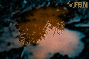 Vorschau von DSC00782.jpg