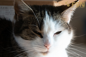 Vorschau von DSC00563.jpg