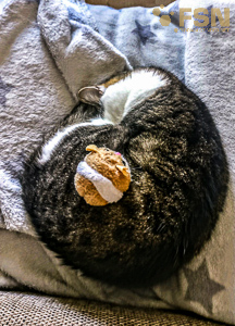 Vorschau von rps20201003_180254.jpg