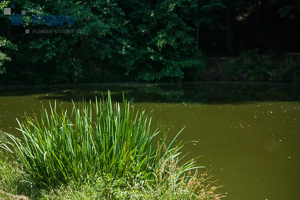 Vorschau von IMG_8017.jpg