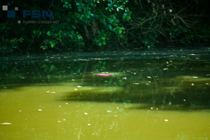 Vorschau von IMG_8019.jpg