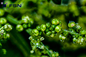 Vorschau von IMG_8033.jpg