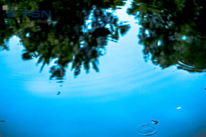 Vorschau von IMG_8037.jpg