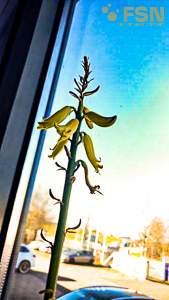 Vorschau von IMG_20210301_150420.jpg