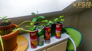 Vorschau von IMG_20210419_200628~2.jpg