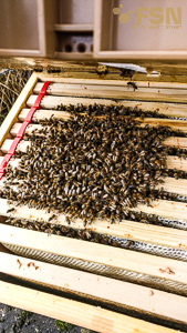 Vorschau von IMG_20210219_103158.jpg