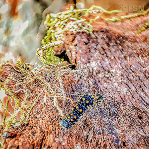 Vorschau von IMG_20220509_192614_804.jpg