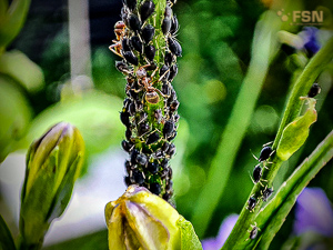 Vorschau von IMG_20220614_161128~2.jpg