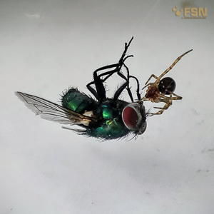 Vorschau von IMG_20220616_082203~2.jpg