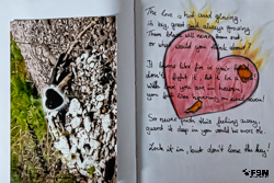 Vorschau von _DSC1267.jpg