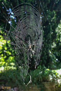 Vorschau von PICT9743.jpg