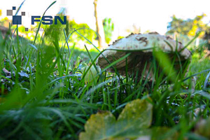 Vorschau von IMG_2615wtmk.jpg