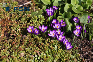 Vorschau von IMG_3523wtmk.jpg