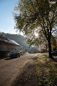 Vorschau von _DSC1905.jpg