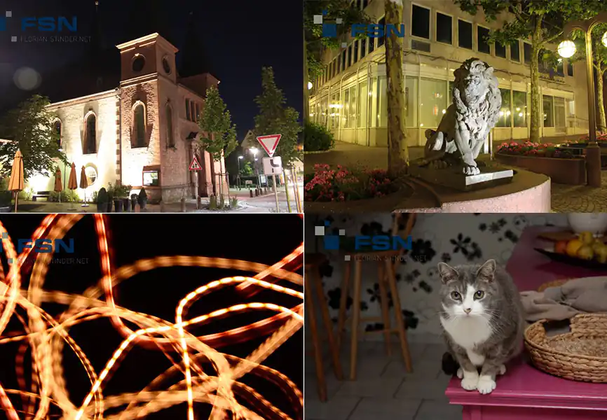 misc Cover: Church at Night, statue of a lion, picture-light-painting, cat gismo on a pink chest of drawers.