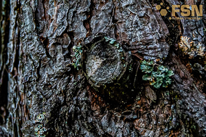 Vorschau von DSC00583.jpg