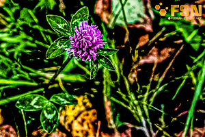 Vorschau von DSC00603-2.jpg