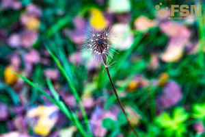 Vorschau von DSC00605.jpg