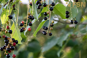 Vorschau von DSC00624.jpg