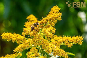 Vorschau von DSC00655-2.jpg