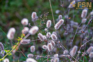 Vorschau von DSC00661.jpg