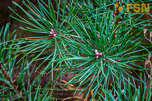 Vorschau von DSC00662.jpg