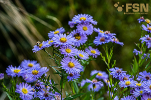 Vorschau von DSC00676.jpg