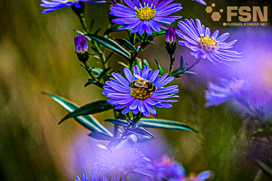 Vorschau von DSC00678.jpg