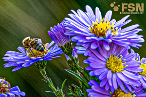 Vorschau von DSC00687-2.jpg