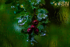 Vorschau von DSC00750.jpg