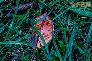 Vorschau von DSC00779.jpg