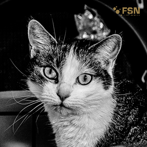 Vorschau von _DSC0862.jpg