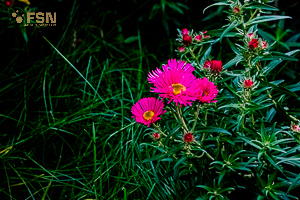 Vorschau von _DSC1017-HDR.jpg