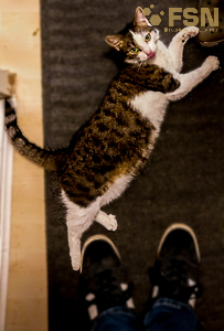 Vorschau von 2021-09-06-09-11-42.jpg